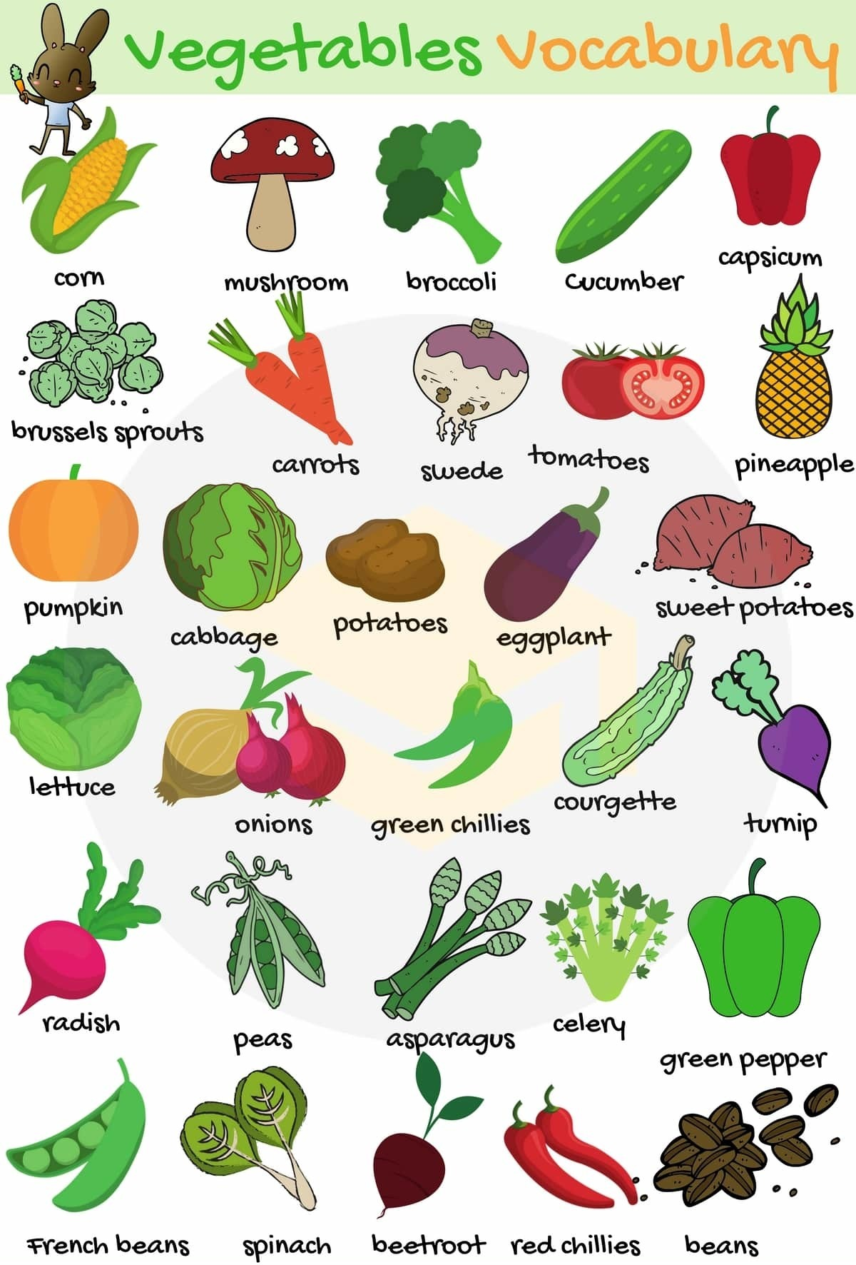 Types of Food English Vocabulary