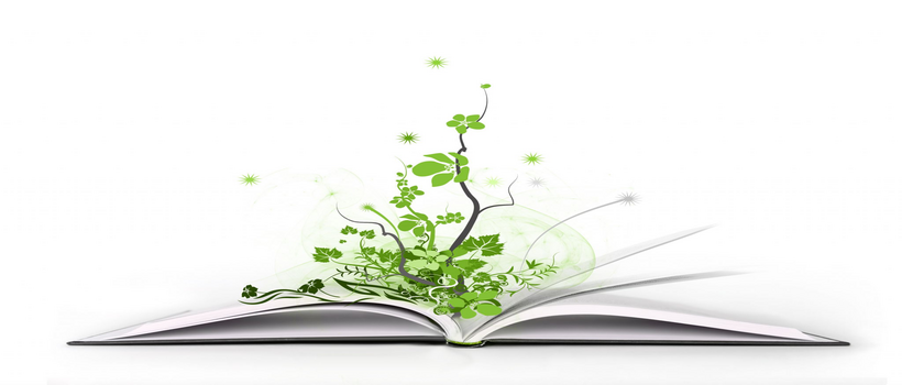 KSE: Магистерская программа по экономике бизнеса и финансов