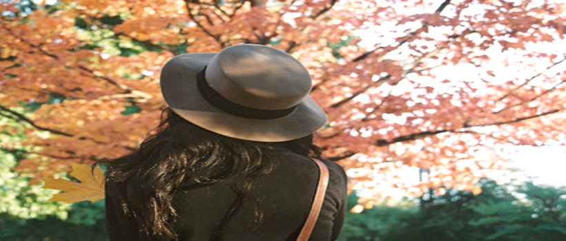 Один уровень за 8 недель в American English Center!