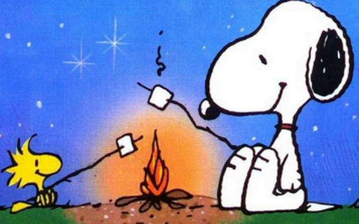 Літні мовні табори для дітей в 2016 році