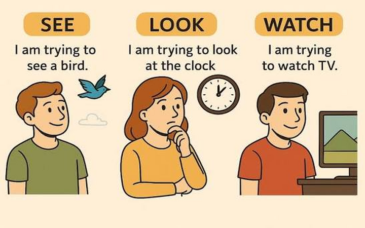Різниця між see, look та watch в англійській мові