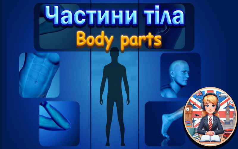 Названия частей тела на английском языке