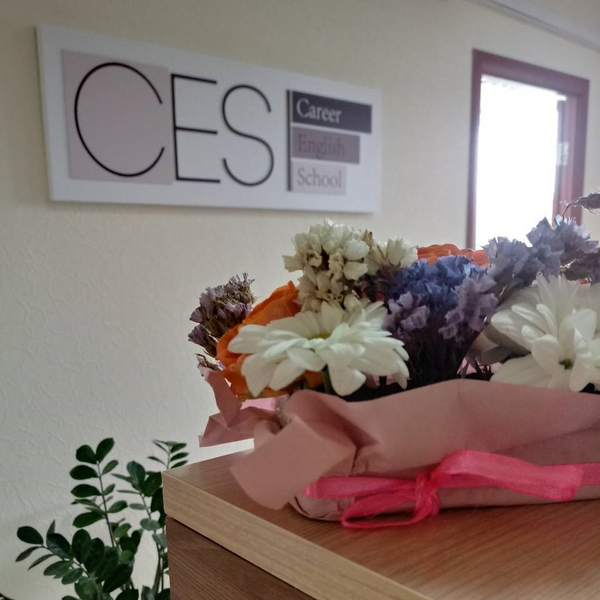 Career English School - курсы английского языка