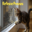 Возвратные местоимения в английском языке: reflexive pronouns