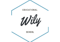 Курси Wily educational school