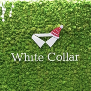 White Collab - курси англійської мови