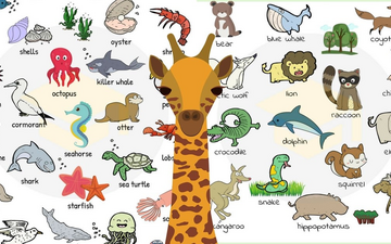 Назви тварин англійською в картинках та з перекладом