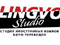 Lingvo Studio - курси англійської мови