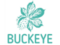 Buckeye English - курси англійської мови